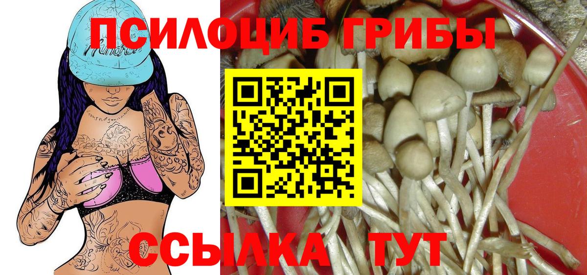 Галлюциногенные грибы Psilocybine cubensis  Вход с VPN  Воронеж  Галлюциногенные грибы Cubensis 